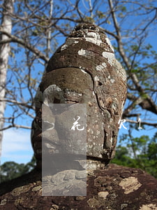 花唄欠1個(gè)月才還