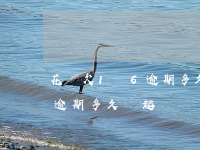 花唄欠1萬6逾期多久會起訴(花唄欠1萬6逾期多久會起訴)