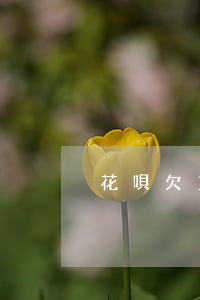 花唄欠1萬怎么還最好