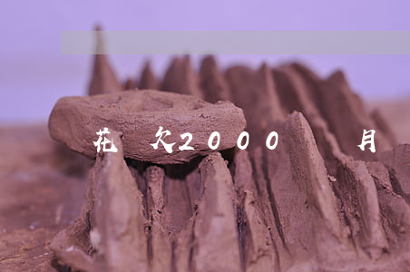 花唄欠2000兩個月沒還(花唄2000多沒還)