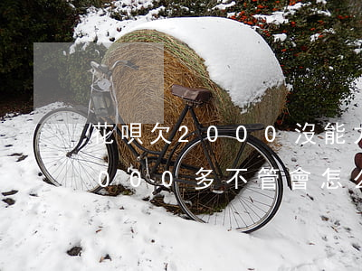 花唄欠2000沒能力還(支付寶花唄欠款1000多不管會怎么樣)