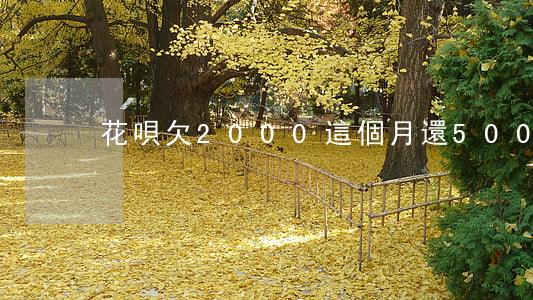 花唄欠2000這個月還500-
