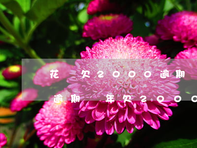 花唄欠2000逾期會起訴么-支付寶花唄逾期兩年欠2000多會起訴嗎