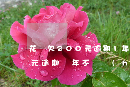 花唄欠200元逾期1年(花唄欠款1000元逾期兩年不還會(huì)怎樣?)