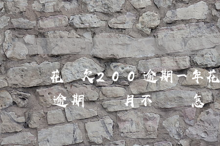 花唄欠200逾期一年(花唄欠款1000元逾期兩個月不還會怎樣?)