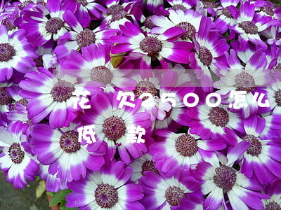 花唄欠2500怎么還劃算(花唄2500最低還款)
