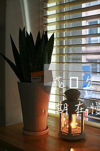花唄欠2500逾期1年(欠花唄1500逾期在慢慢還會(huì)不會(huì)被起訴)