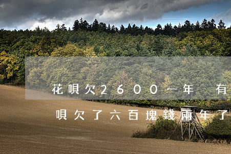 花唄欠2600一年沒有還怎么辦-螞蟻花唄欠了六百塊錢,兩年了怎么沒法還了?