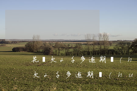 花唄欠2千多逾期會(huì)起訴嗎（花唄欠2千多逾期會(huì)起訴嗎）