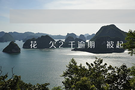 花唄欠2千逾期會被起訴嗎