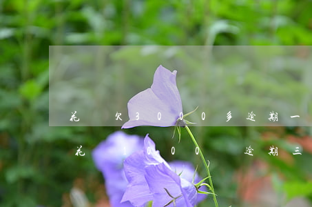 花唄欠3000多逾期一年無力償還-欠了花唄1000塊逾期三年怎么到1800