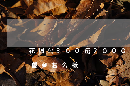 花唄欠300還2000(花唄欠了300不還會怎么樣?)