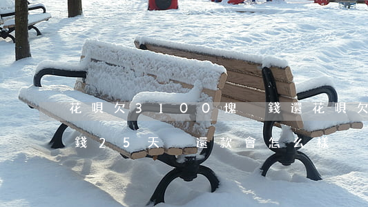 花唄欠3100塊沒錢還(花唄欠款700塊錢25天沒還款會怎么樣)