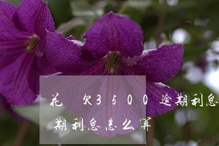 花唄欠3500逾期利息(花唄欠3500逾期利息怎么算)