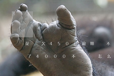 花唄欠4500逾期還不上怎么辦-花唄欠了4000不還會怎么樣?