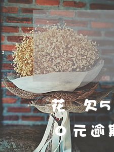 花唄欠5000逾期2年-花唄欠款5000元逾期半年不還會(huì)怎樣?