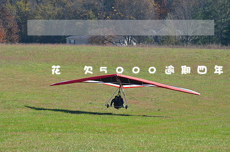花唄欠5000逾期四年