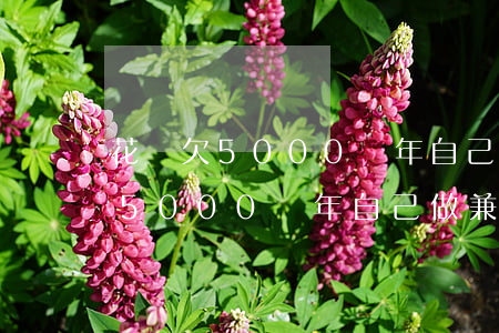花唄欠5000過年自己做兼職還-花唄欠5000過年自己做兼職還可以嗎