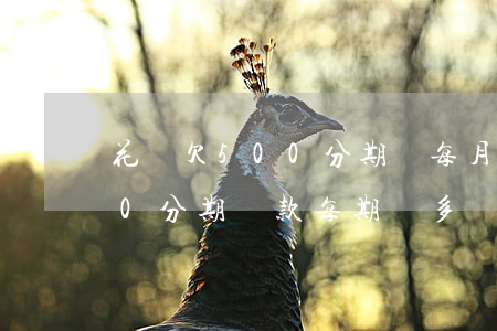花唄欠500分期還每月還多少-花唄500分期還款每期還多錢