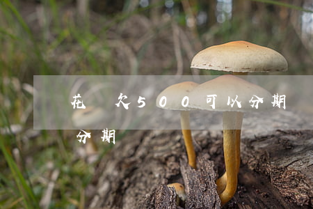 花唄欠500可以分期還嗎(花唄5000能分期嗎)