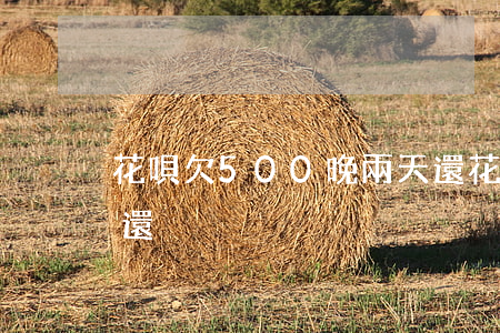 花唄欠500晚兩天還(花唄欠500晚兩天還)
