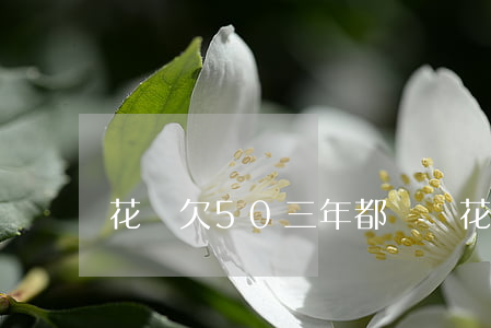 花唄欠50三年都沒還(花唄欠50三年都沒還)