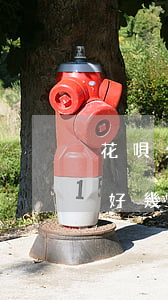 花唄欠50元逾期1個月(花唄逾期五十塊錢好幾個月了會怎么樣)