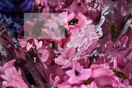 花唄欠50塊錢(qián)忘了還(花唄欠了幾十塊錢(qián),到期還不上怎么辦)