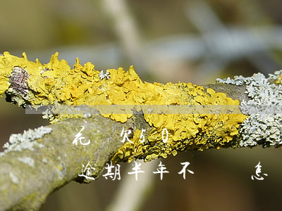 花唄欠50塊錢幾個月沒還(花唄欠款50元逾期半年不還會怎樣?)