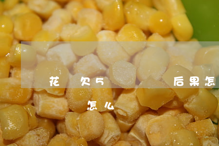 花唄欠5塊錢沒還后果怎樣(花唄五百塊錢不還會怎么樣)
