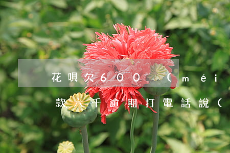 花唄欠600沒(méi)還起訴我(花唄欠款六千逾期打電話說(shuō)要起訴?)