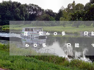 花唄欠60多塊錢只能還30塊錢-花唄欠60多塊錢只能還30塊錢怎么回事