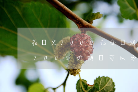 花唄欠7000元分幾期還劃算-花唄欠款7000逾期還可以分期還款嗎?