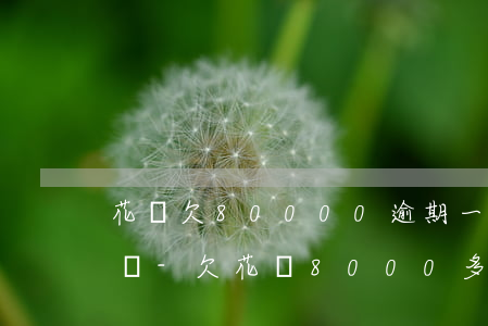 花唄欠80000逾期一年會(huì)怎樣-欠花唄8000多元逾期8個(gè)月還會(huì)坐牢嗎