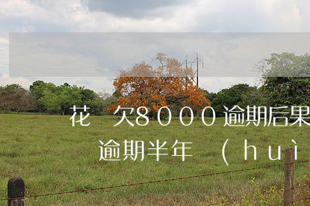 花唄欠8000逾期后果(花唄欠了800塊錢,逾期半年會(huì)怎么樣?)