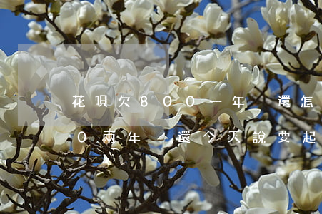 花唄欠800一年沒還怎么辦(欠花唄8000兩年沒還今天說要起訴了)
