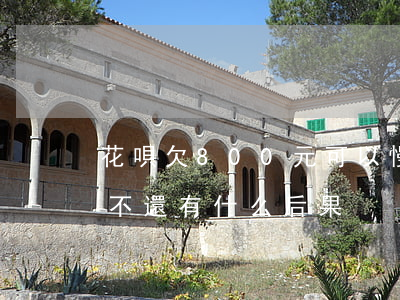 花唄欠800元可以慢慢還嗎(花唄800元不還有什么后果)