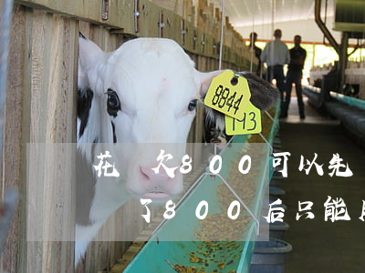 花唄欠800可以先還400嗎(為什么花唄還了800后只能用500)