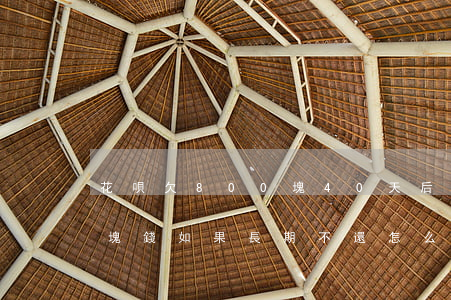 花唄欠800塊40天后還(花唄欠了800塊錢如果長期不還怎么樣)