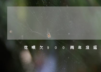 花唄欠900兩年沒還