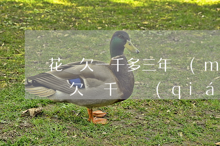花唄欠一千多三年沒(méi)還怎么辦(花唄欠幾千塊錢(qián)半年了沒(méi)錢(qián)還有啥后果)