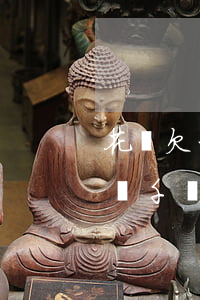花唄欠一千多三年沒(méi)還(花唄欠了兩千塊錢(qián)如果長(zhǎng)期不還怎么樣)