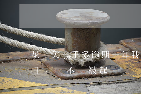花唄欠一千多逾期一年(我花唄逾期1年了7千塊,會不會被起訴)