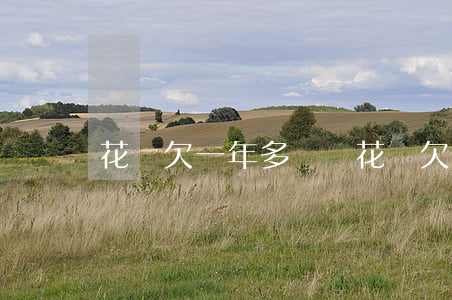 花唄欠一年多沒還(花唄欠一年多沒還)