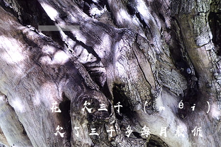 花唄欠三千沒(méi)還利息要多少(花唄欠了三千多,每月最低還款還多少)