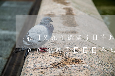 花唄欠九千逾期了還不上(花唄借唄欠20000逾期了暫時還不上怎么辦)