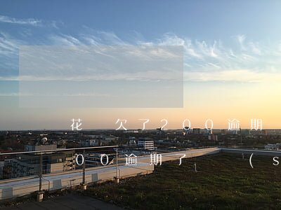 花唄欠了200逾期沒還(花唄借唄欠20000逾期了暫時(shí)還不上怎么辦)