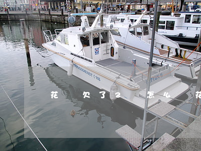 花唄欠了2萬怎么還(花唄兩萬還不上怎么辦?)