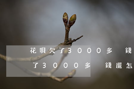 花唄欠了3000多沒錢還怎么辦-花唄欠了3000多沒錢還怎么辦呢