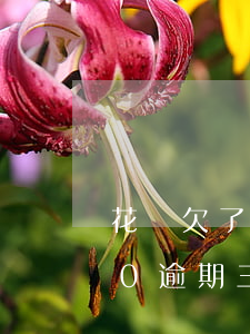 花唄欠了3000逾期一年(花唄欠了3000逾期三個月了會怎么樣)